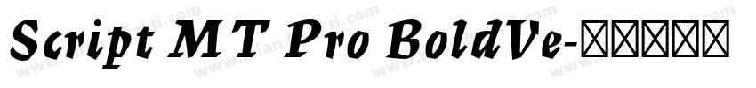 Script MT Pro BoldVe字体转换